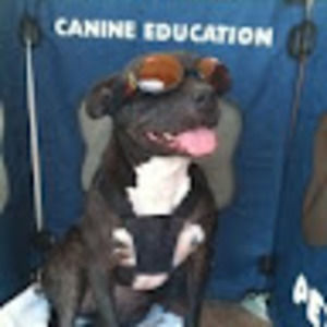 Meet your Posher, Casey